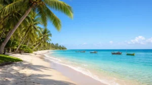 Praia tropical em Icapuí com coqueiros e barcos, ideal para contabilidade em Icapuí ligada ao setor pesqueiro.
